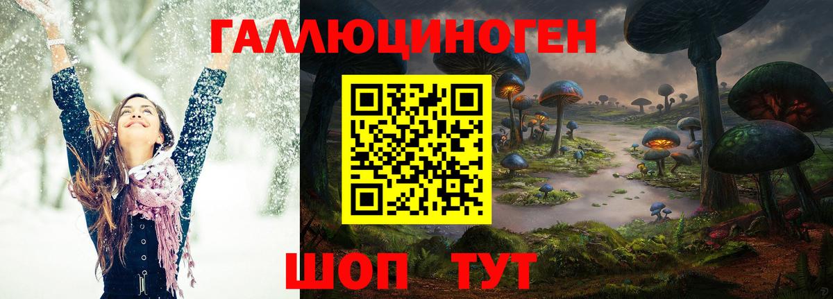 Галлюциногенные грибы MAGIC MUSHROOMS Дятьково
