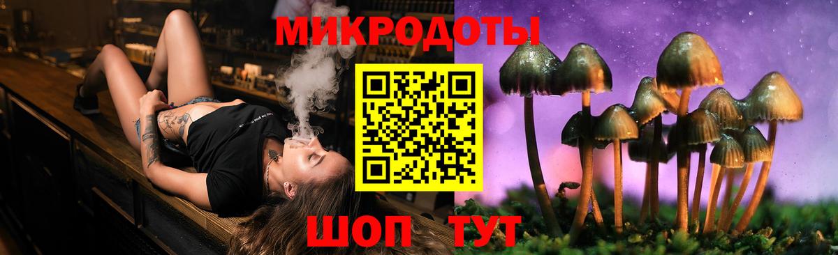 Псилоцибиновые грибы Cubensis  Галлюциногенные грибы мицелий  Дятьково  Вход с VPN 